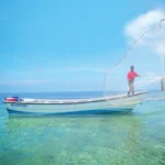 BOTE TRANSPORTE 225