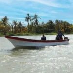 BOTE TRANSPORTE 252