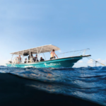 BOTE TRANSPORTE DIVER 320