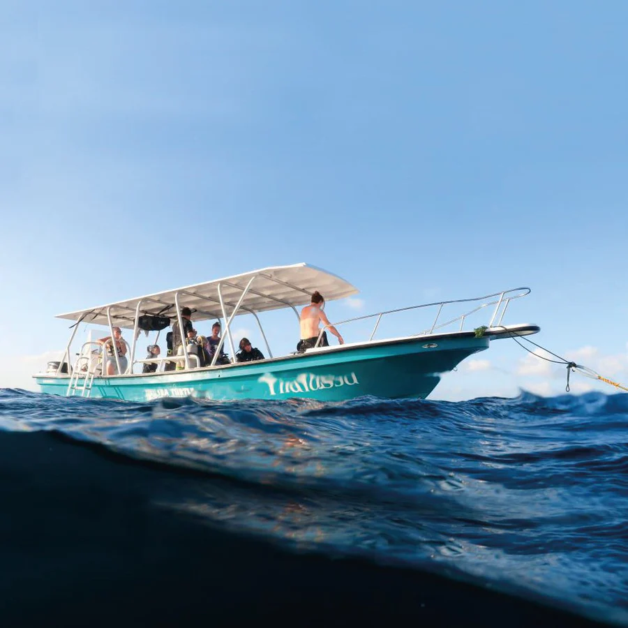 BOTE TRANSPORTE DIVER 320 BOTE TRANSPORTE DIVER 320 - Imagen 1