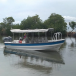 BOTE TRANSPORTE EXPRESO 260E