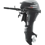 MOTOR FUERA DE BORDA F20C - Imagen 2
