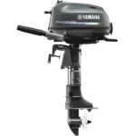 MOTOR FUERA DE BORDA F6C - Imagen 2