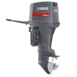 MOTOR FUERA DE BORDA E75B